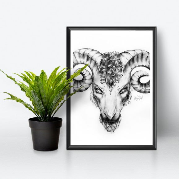 Aries Illustration